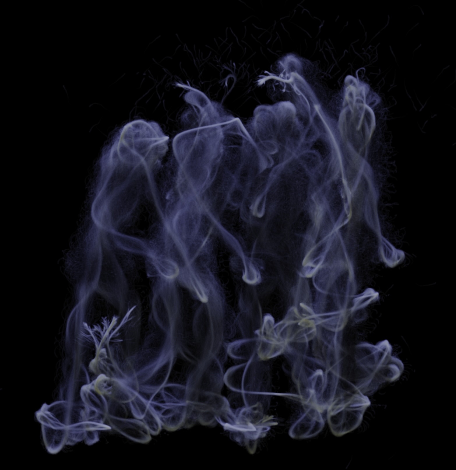 Translucent violet figures formed from flowing simulation trails against black.